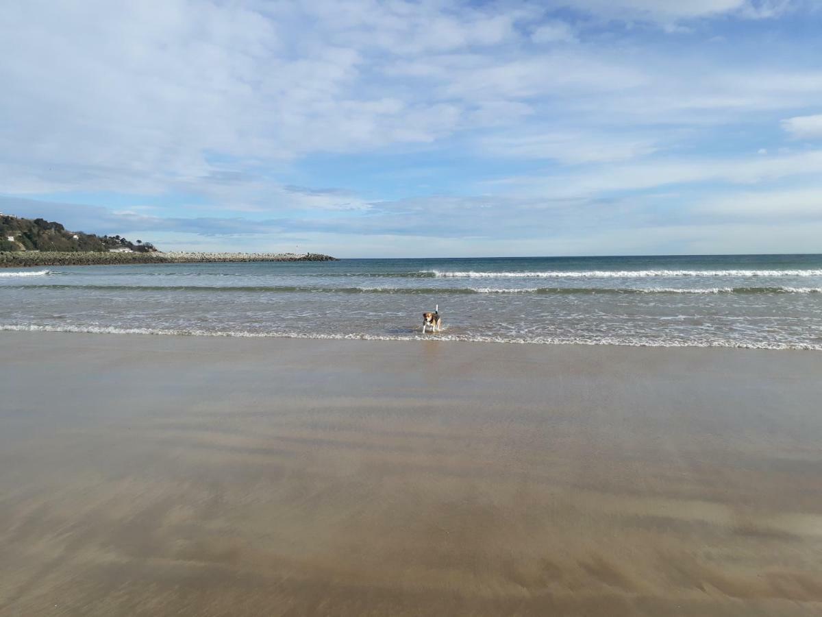 Les Hirondelles 2Km De La Plage-Jardin-Wifi-Parking-Draps Et Serviettes Hendaye Exterior photo