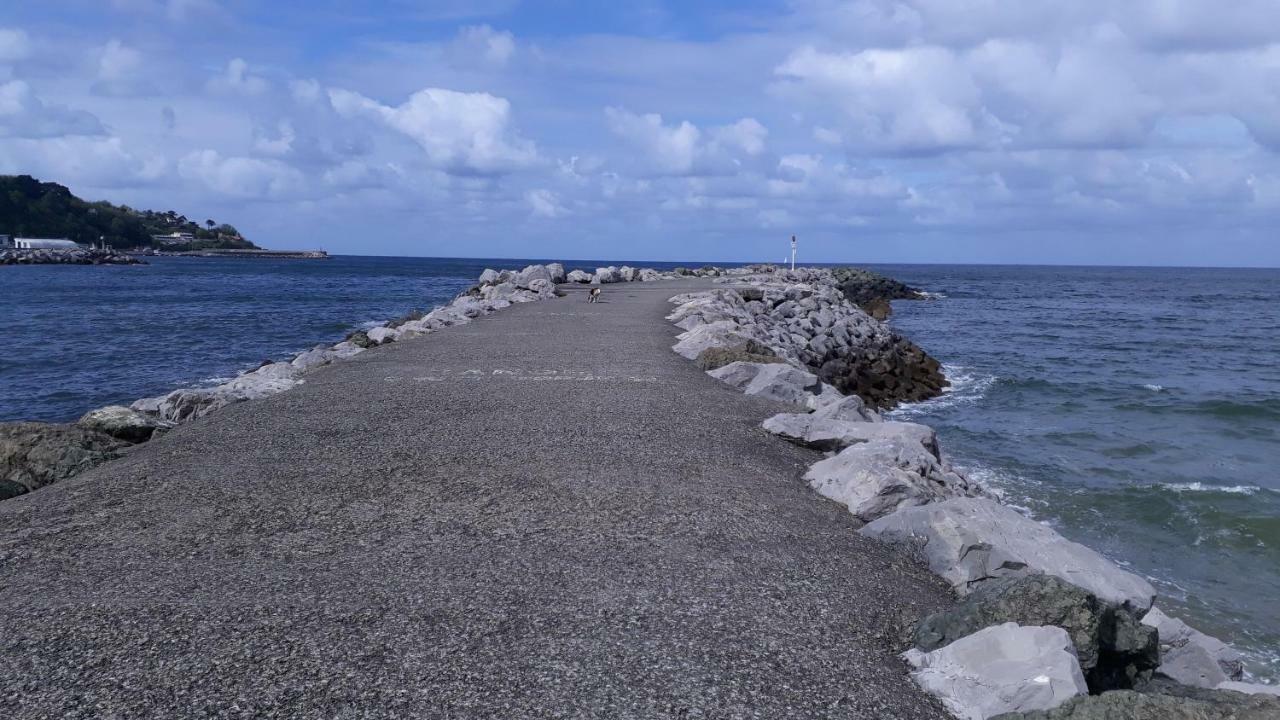 Les Hirondelles 2Km De La Plage-Jardin-Wifi-Parking-Draps Et Serviettes Hendaye Exterior photo